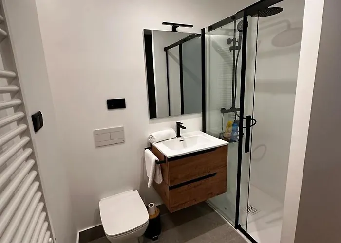 Lejlighed Atuaire Centro Historico Con Vistas A La Moneda Azul Parking Incluido Burgo